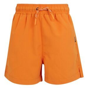 Regatta Childrens/Kids Skander III Plain Swim Shorts / Persimmon